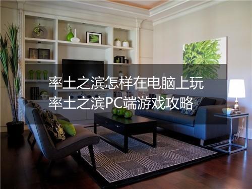 率土之滨怎样在电脑上玩　率土之滨PC端游戏攻略