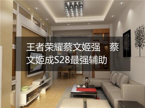 王者荣耀蔡文姬强　蔡文姬成S28最强辅助