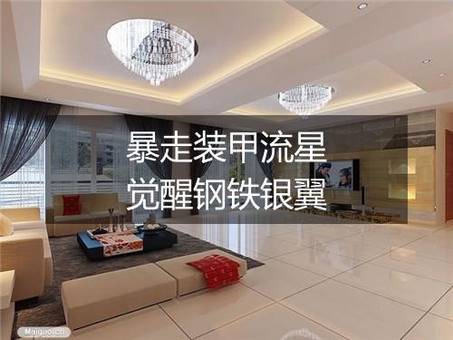 暴走装甲流星　觉醒钢铁银翼