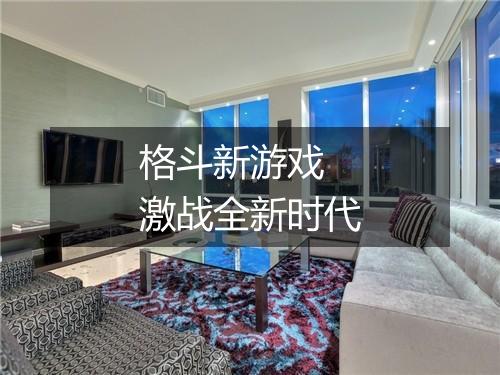 格斗新游戏　激战全新时代